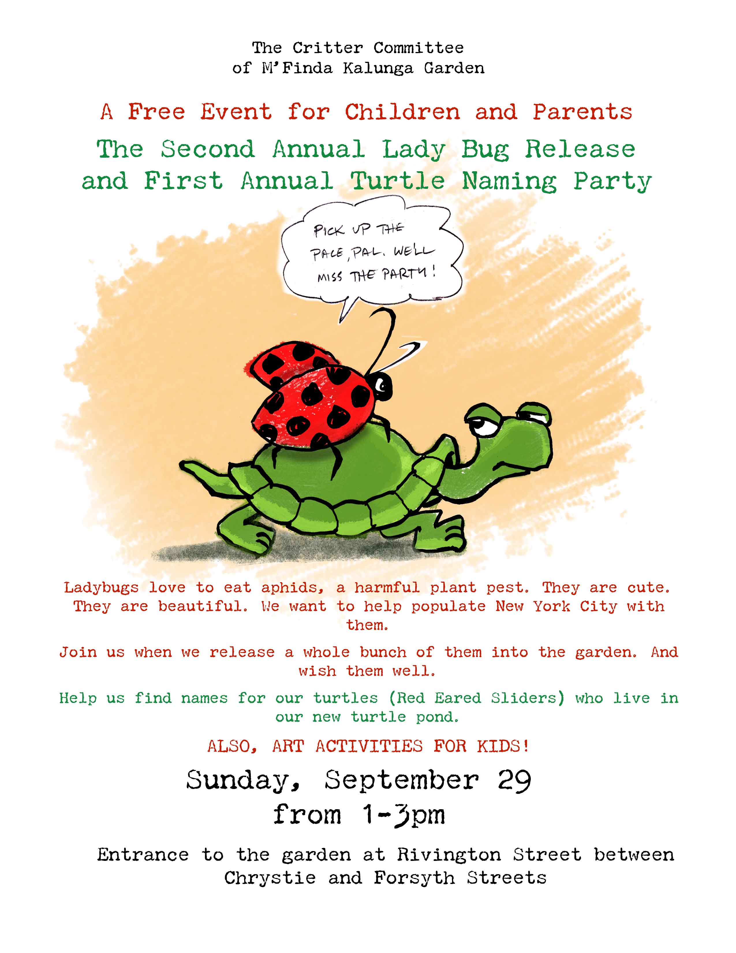 turtleLadyBugFlyer