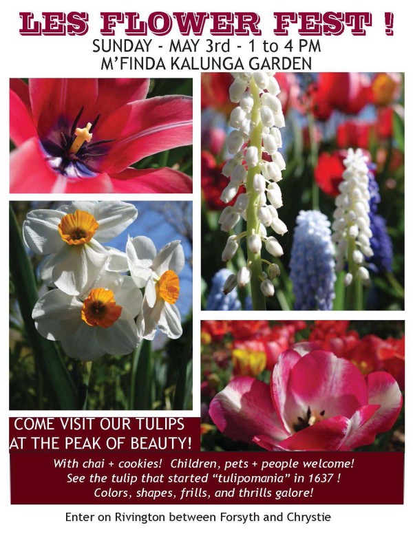 tulipFest2015